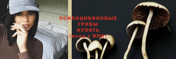 стафф Баксан