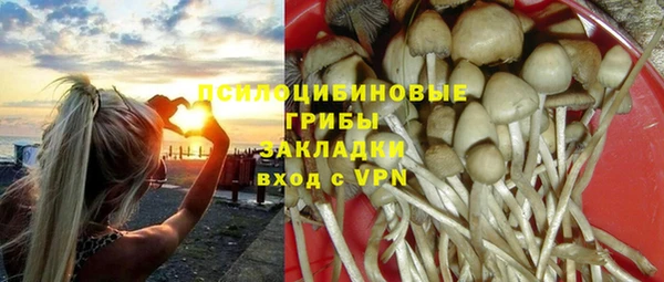 стафф Баксан